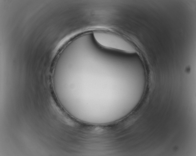 X0000116791412200912181043