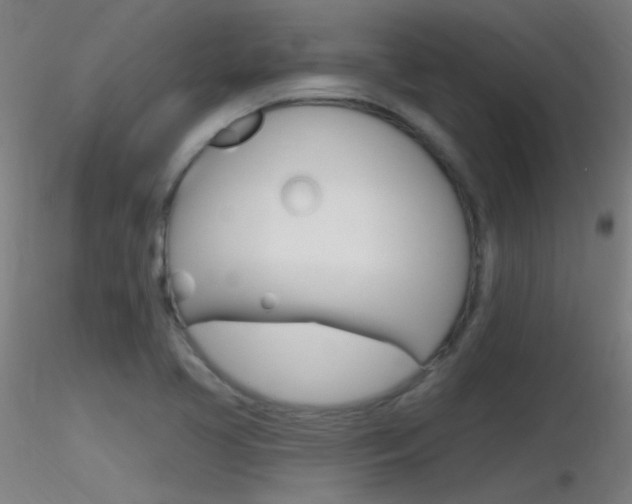 X0000116791413200912181043