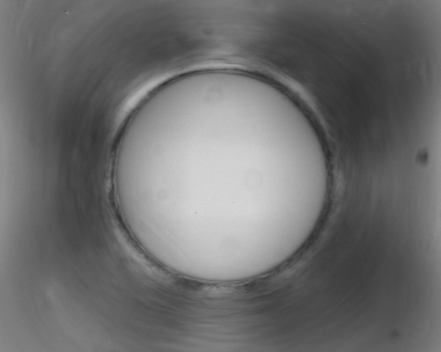 X0000116791415200912181043