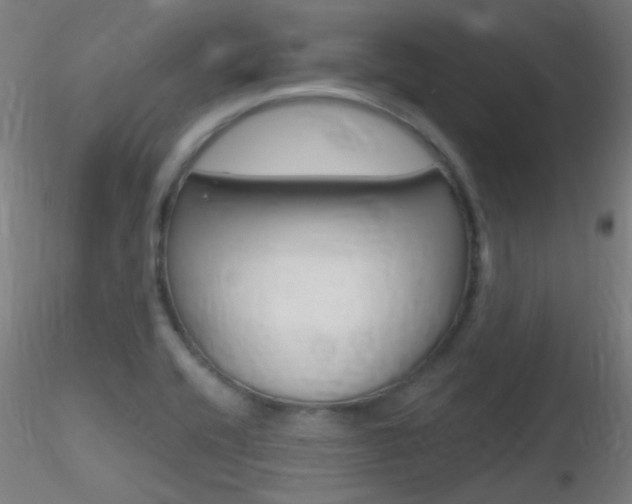 X0000116791416200912181043