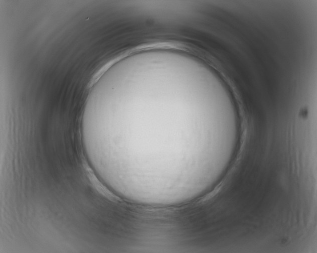 X0000116791417200912181043