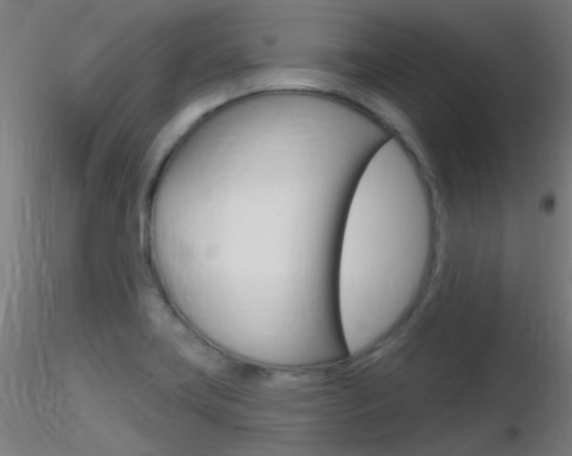 X0000116791419200912181043