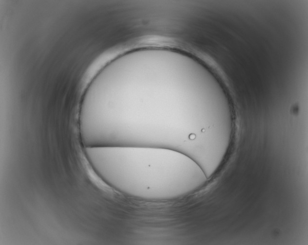 X0000116791421200912181043