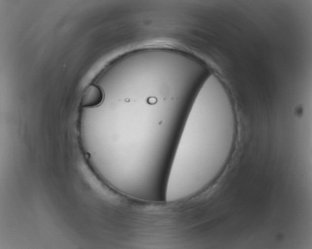 X0000116791422200912181043
