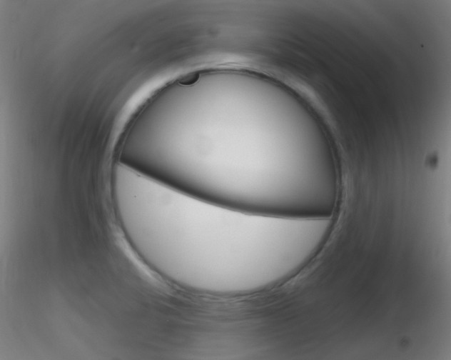 X0000116791424200912181043