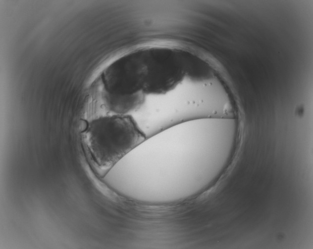 X0000116791425200912181043