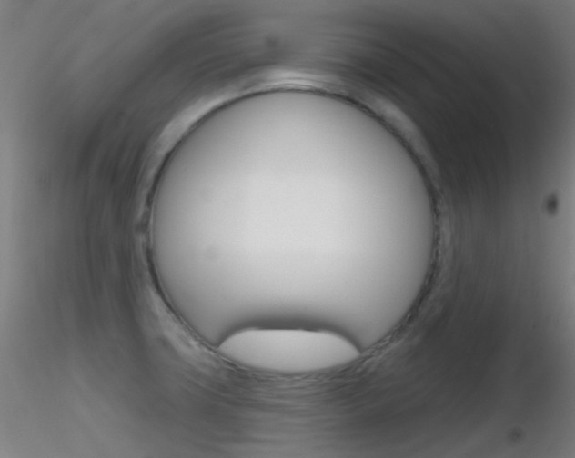 X0000116791427200912181043