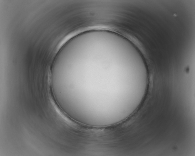 X0000116791428200912181043