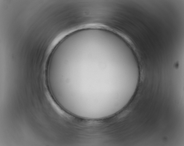 X0000116791430200912181043