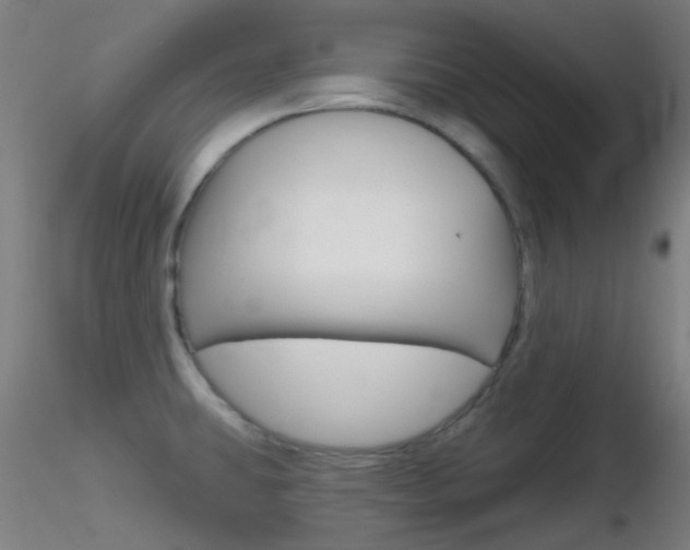 X0000116791431200912181043