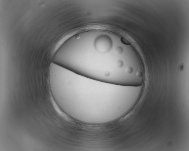 X0000116791433200912181043