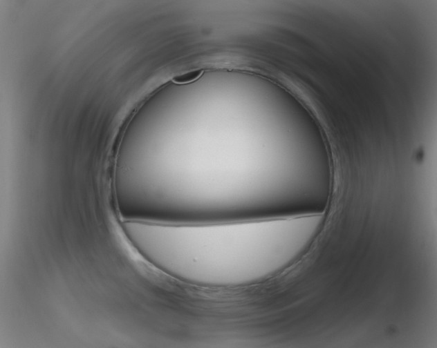 X0000116791434200912181043