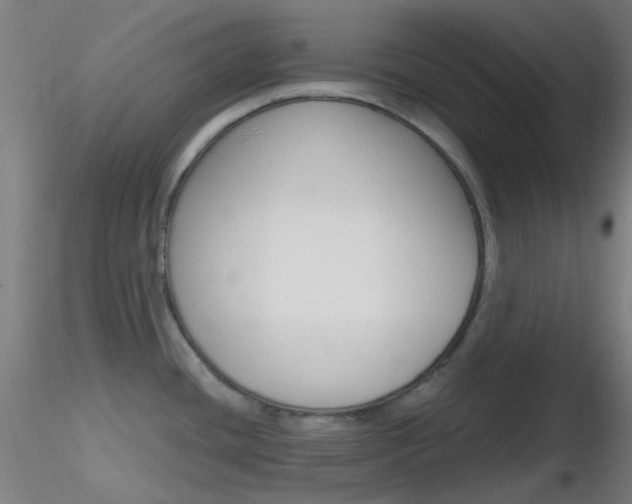 X0000116791436200912181043