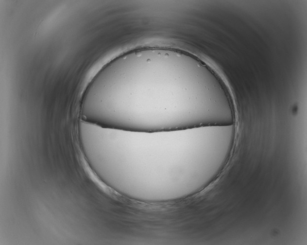 X0000116791437200912181043
