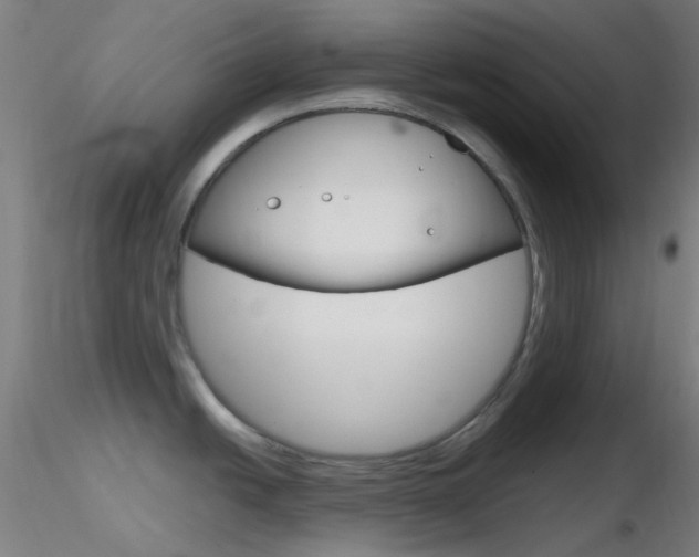 X0000116791438200912181043
