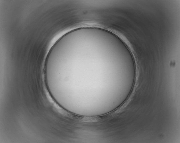 X0000116791440200912181044