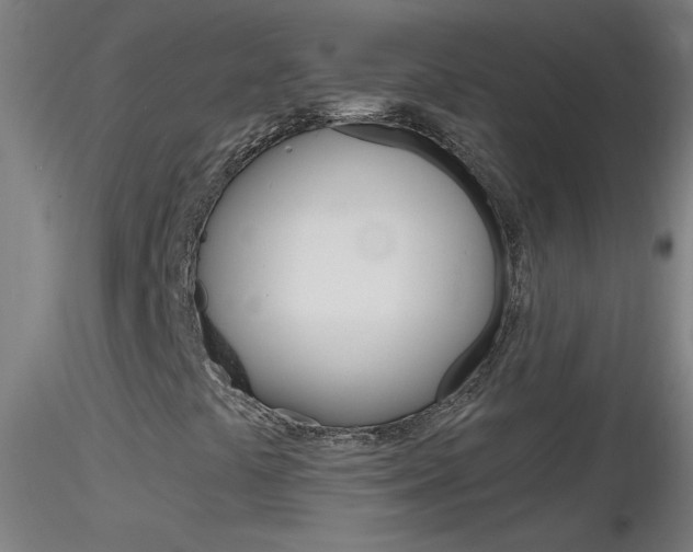 X0000116791441200912181043