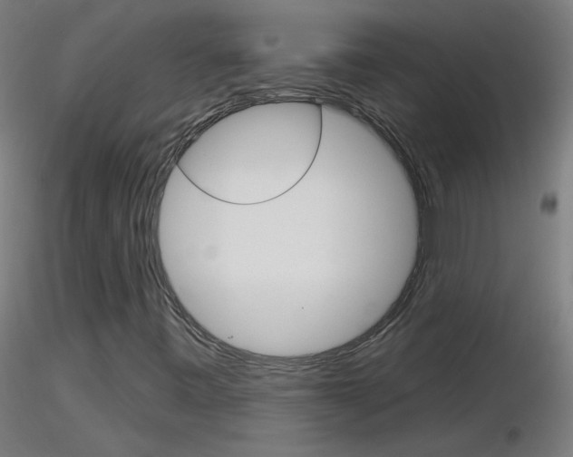 X0000116791443200912181043