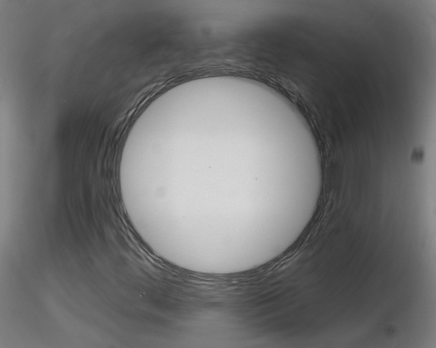 X0000116791444200912181043