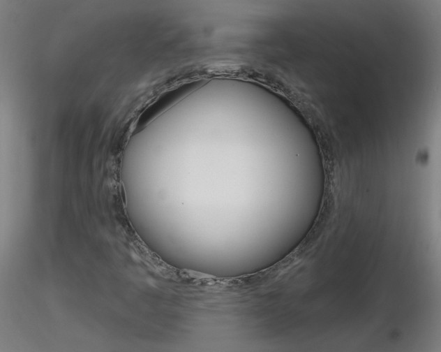 X0000116791445200912181043