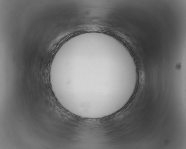 X0000116791446200912181043