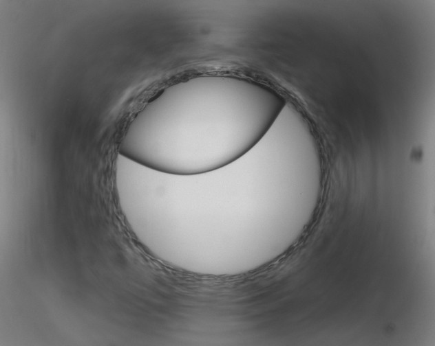 X0000116791447200912181043