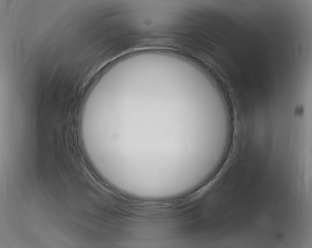 X0000116791449200912181043