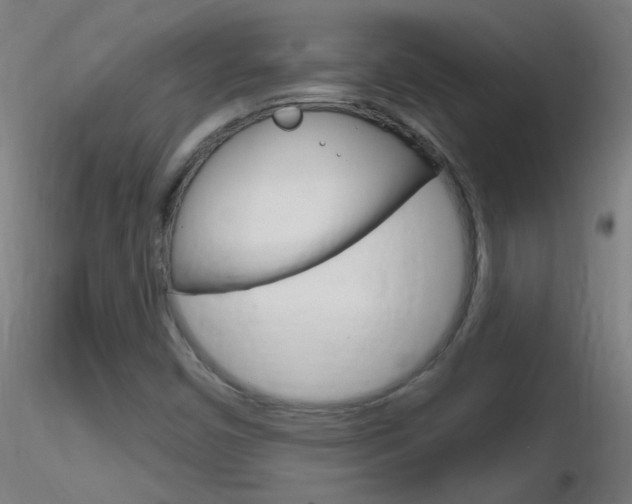 X0000116791450200912181043