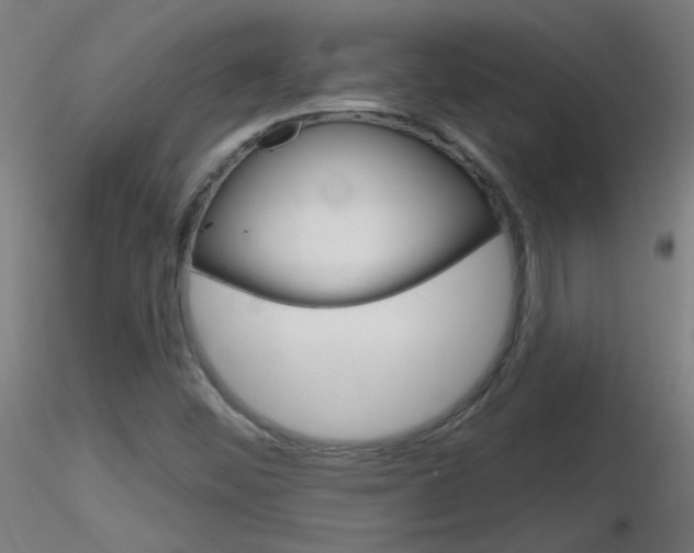 X0000116791452200912181043
