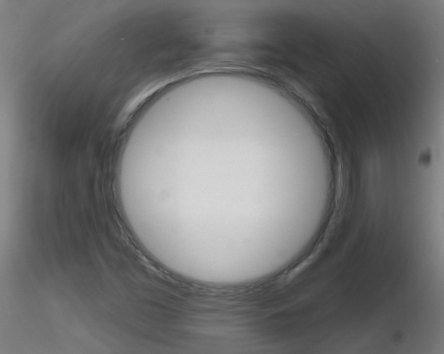 X0000116791453200912181043