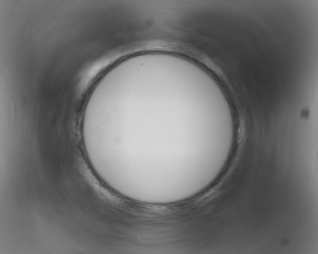 X0000116791454200912181043