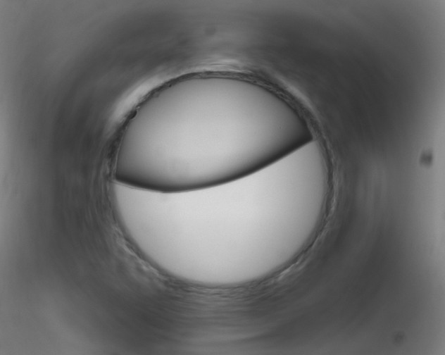 X0000116791455200912181043
