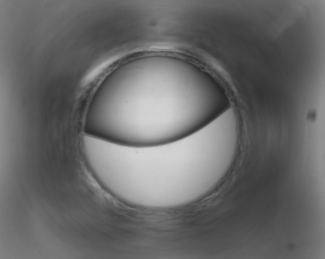 X0000116791456200912181042