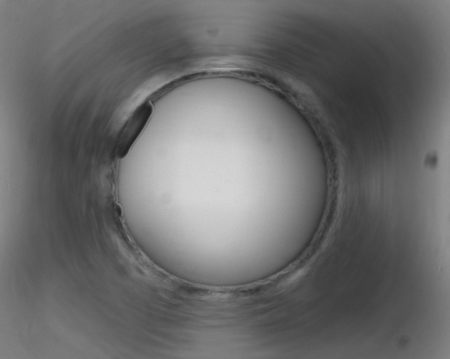 X0000116791457200912181042