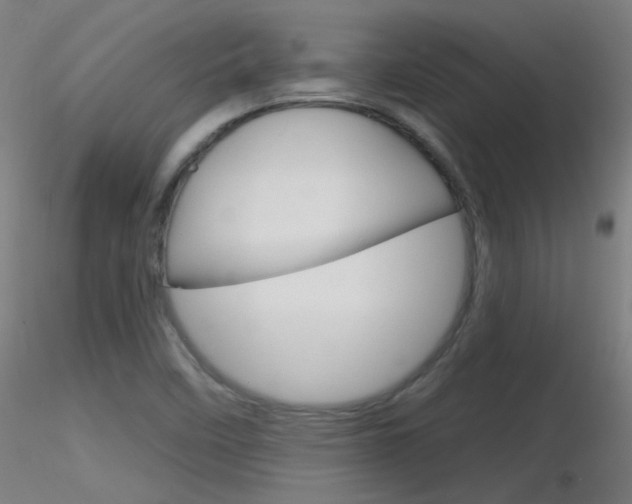 X0000116791458200912181042