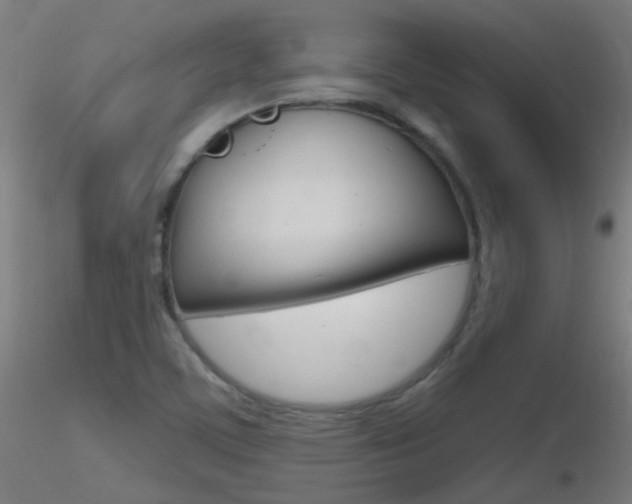 X0000116791459200912181042