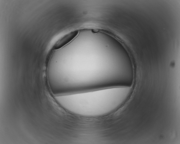 X0000116791461200912181042