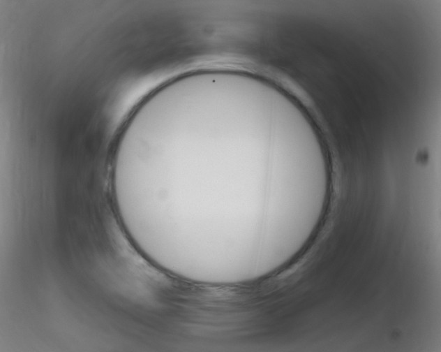 X0000116791462200912181042