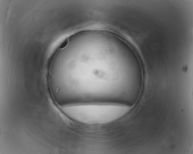 X0000116791464200912181042