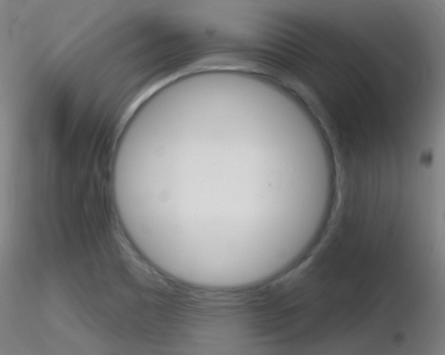 X0000116791465200912181042