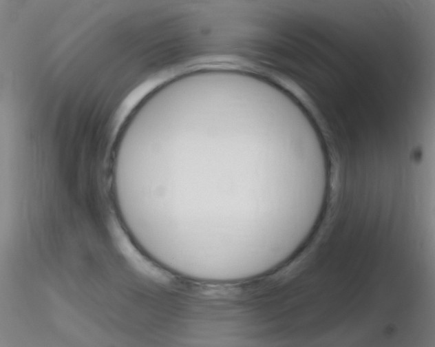 X0000116791466200912181042