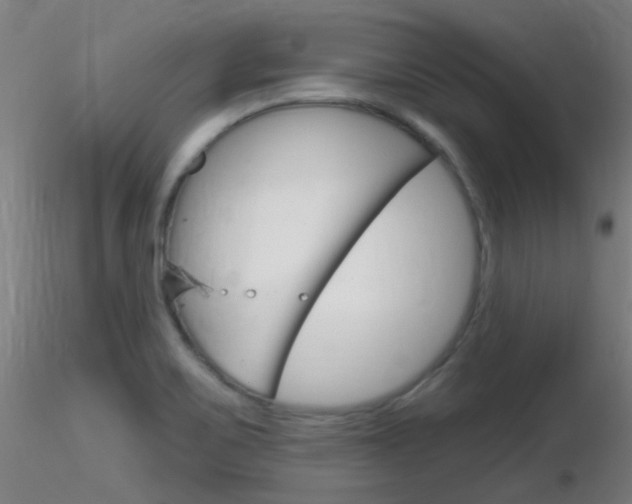 X0000116791467200912181042