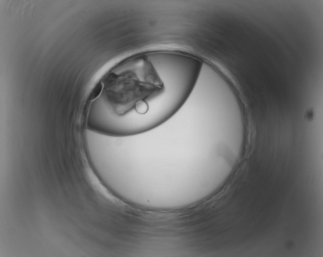 X0000116791468200912181042