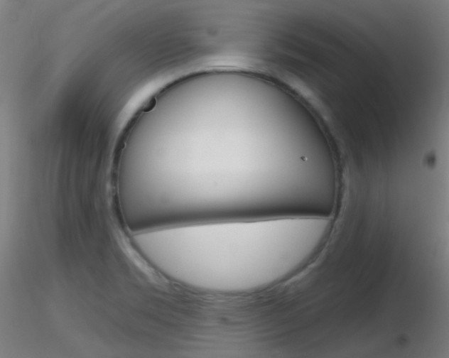 X0000116791469200912181042