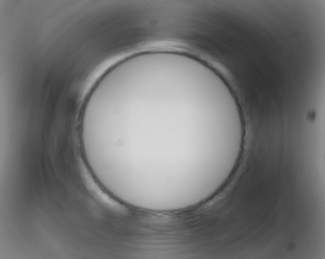 X0000116791470200912181042
