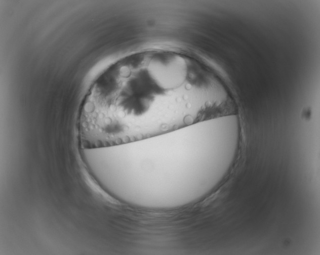 X0000116791471200912181042