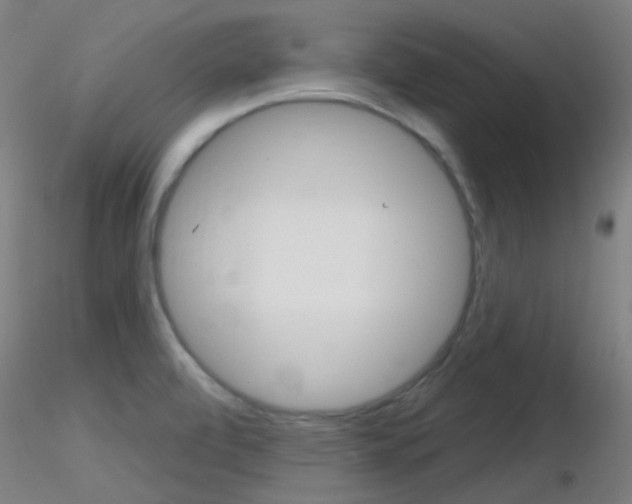 X0000116791472200912181042