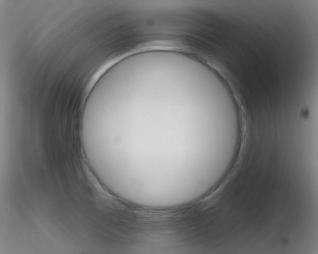 X0000116791473200912181042
