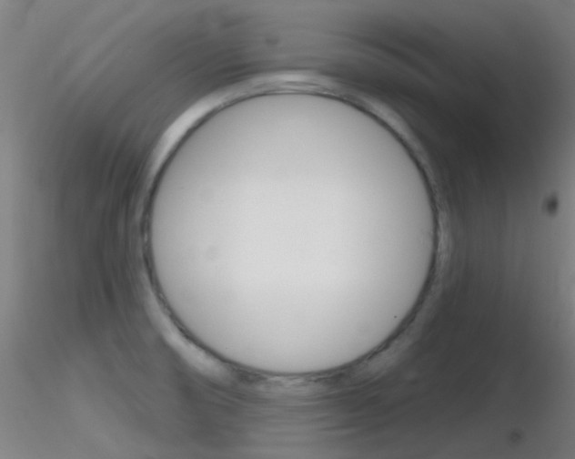 X0000116791474200912181042
