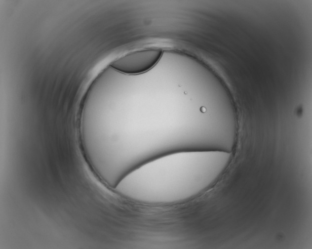 X0000116791475200912181042